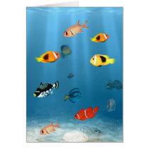Oceans Of Fish