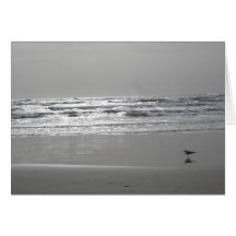 Oceanview Greeting Card