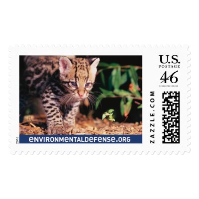 Ocelot, EnvironmentalDefense.org - Customised Postage Stamp by EnvironmentalDefense