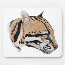 Ocelot