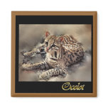 ocelot wild cat lovers magnets