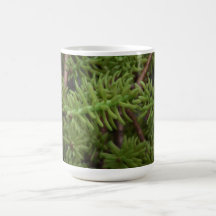 Ochoco Black Canyon Flora Plants Botany Biota Coffee Mugs
