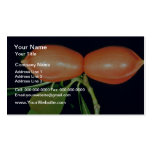 Ochrosia elliptica (Ochrosia)  flowers Business Card