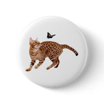 Ocicat Cat & Butterfly