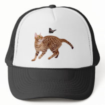 Ocicat Cat & Butterfly