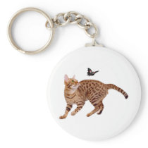 Ocicat Cat & Butterfly