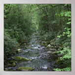 Oconuluftee River View Posters