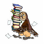 Octavian Owl photo sculptures