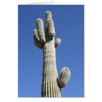 October 2006 - Scottsdale-082 Greeting Cards