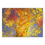October cards