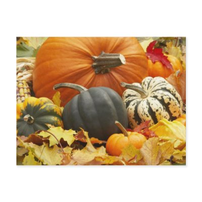October Decoration Postcard by FallSeason