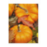 October Design Postcard