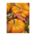 October Design postcards