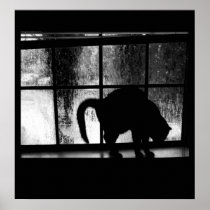 October Showers Cat Silhouette At Window 2 B&W