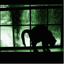 October Showers Cat Silhouette At Window 2 Green Cut Outs