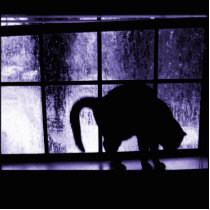 October Showers Cat Silhouette At Window 2 Indigo