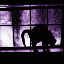 October Showers Cat Silhouette At Window 2 Purple