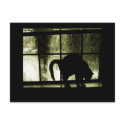 October Showers Cat Silhouette At Window Yellow postcards