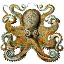 Octopus Cutout Magnet/Sculpture