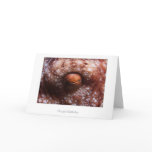 Octopus Eye Birthday Card