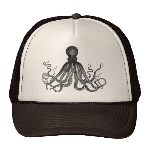 Octopus Hat