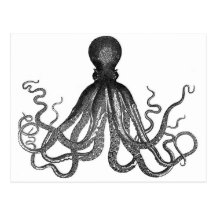 Octopus Postcard