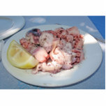 Octopus Salad With A Slice Of Lemon photo sculptures