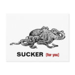 Octopus SUCKER (for you) postcards
