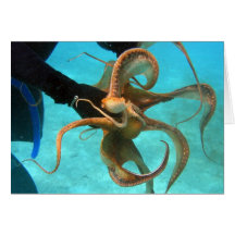 Octopus underwater greeting card