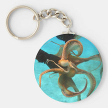 Octopus underwater key chains