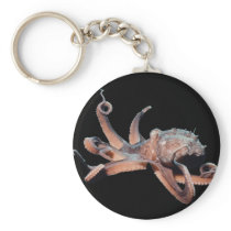 Octopus-Wild Thang