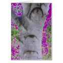 Odd Eyed Tree Trunk Purple cards