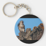 Ode to My Pine Cone Key Chain