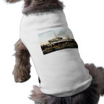 Odensburg, New York, Marine Railway pet clothing