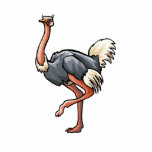 Odetta Ostrich photo sculptures