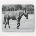 Odin the Percheron Mousepad