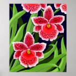 Odontoglossum Orchids Poster posters