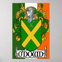 O'Dowd Coat of Arms Irish Flag Print