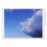 of pigs & rainbows cards