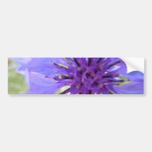 Off Centre Purple Bachelor's Button Bumper Sticker