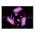 Off spring cards