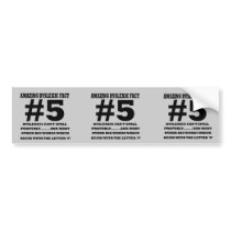 Offensive dyslexic fact bumper stickers