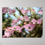 OFFICE ART DOGWOOD Flowers 9 Nature Art Prints
