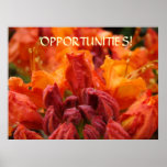 OFFICE ART Opportunities! Rhododendrons Framed Art posters