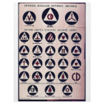 Official Civilian Defence Insignia flyers