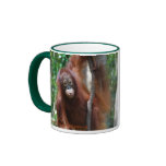 Official Fan Club Krista Orangutan mugs