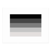 OFFICIAL STRAIGHT PRIDE FLAG POSTCARD