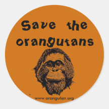 OFI - saving orangutans & rainforest Round Sticker