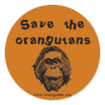OFI - saving orangutans & rainforest stickers