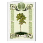 Ogham Birch Cards